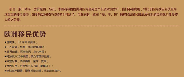 新澳天天开奖资料大全第262期，精英释义、解释与落实的探讨