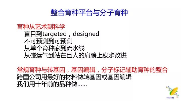 新澳门王中王战术释义与落实策略解析——迎接2024年的挑战与机遇