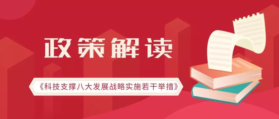 关于精准管家婆与尊严释义的深入解读与实施策略