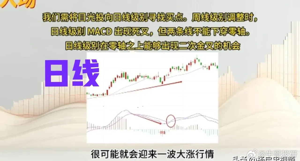 精准跑狗图与线自释义解释落实，一种全新的解读与探索