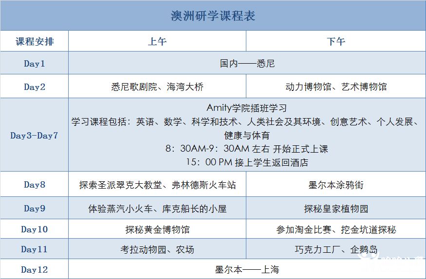 探索新澳，最准确最快资料评级释义与落实策略