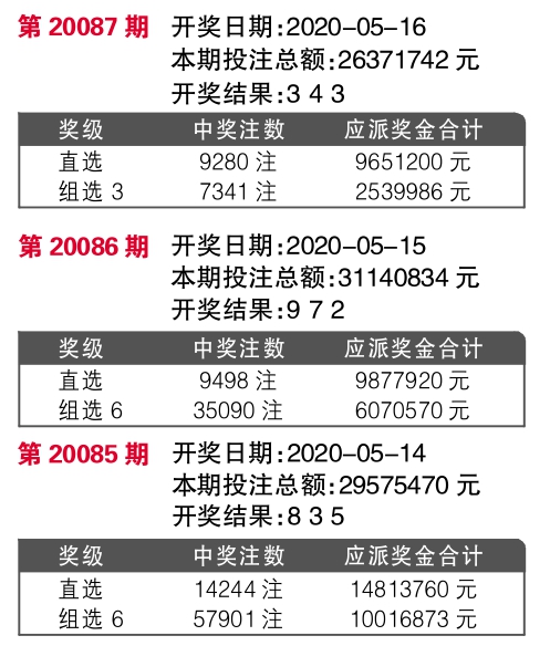 探究彩票背后的秘密，王中王开奖十记录网与迭代释义的落实