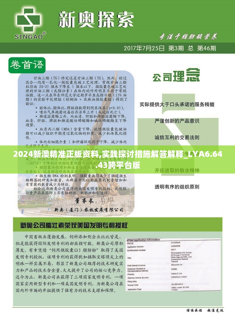 新澳2024年精准资料33期，闪电释义与落实行动