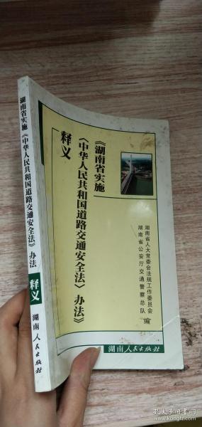 新澳先导释义，探索未来的免费下载之路与落实策略