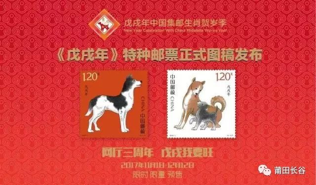 探索高清跑狗图新版，成长、释义、实践与落实