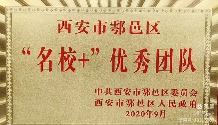 迈向未来，2024正版资料免费公开，风范释义的落实与实践