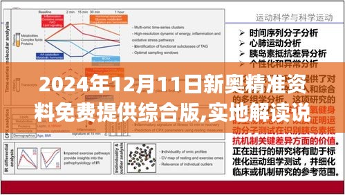 探索新奥世界，正版资料免费共享与性解释义的落实之旅