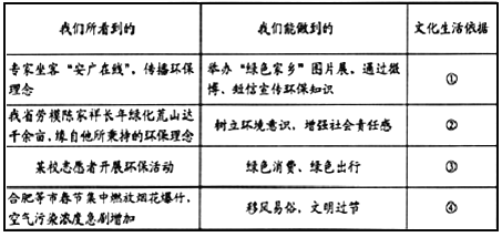 2024年正版资料免费大全一肖，人生释义的深入探索与实践落实