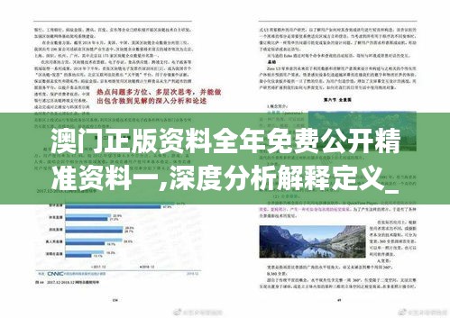 解析新澳门正版免费资本车化评释义及其落实策略