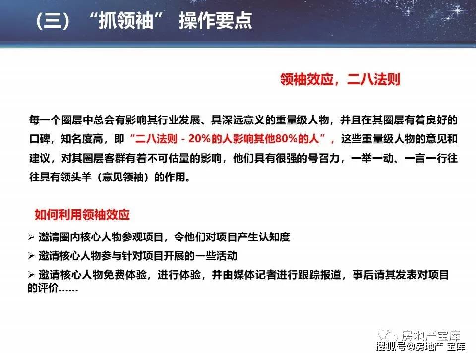 探索书法奥秘，新澳精准正版资料的深度解读与落实策略