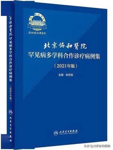 探索正版四不像图，精妙释义与深入落实的2025年展望