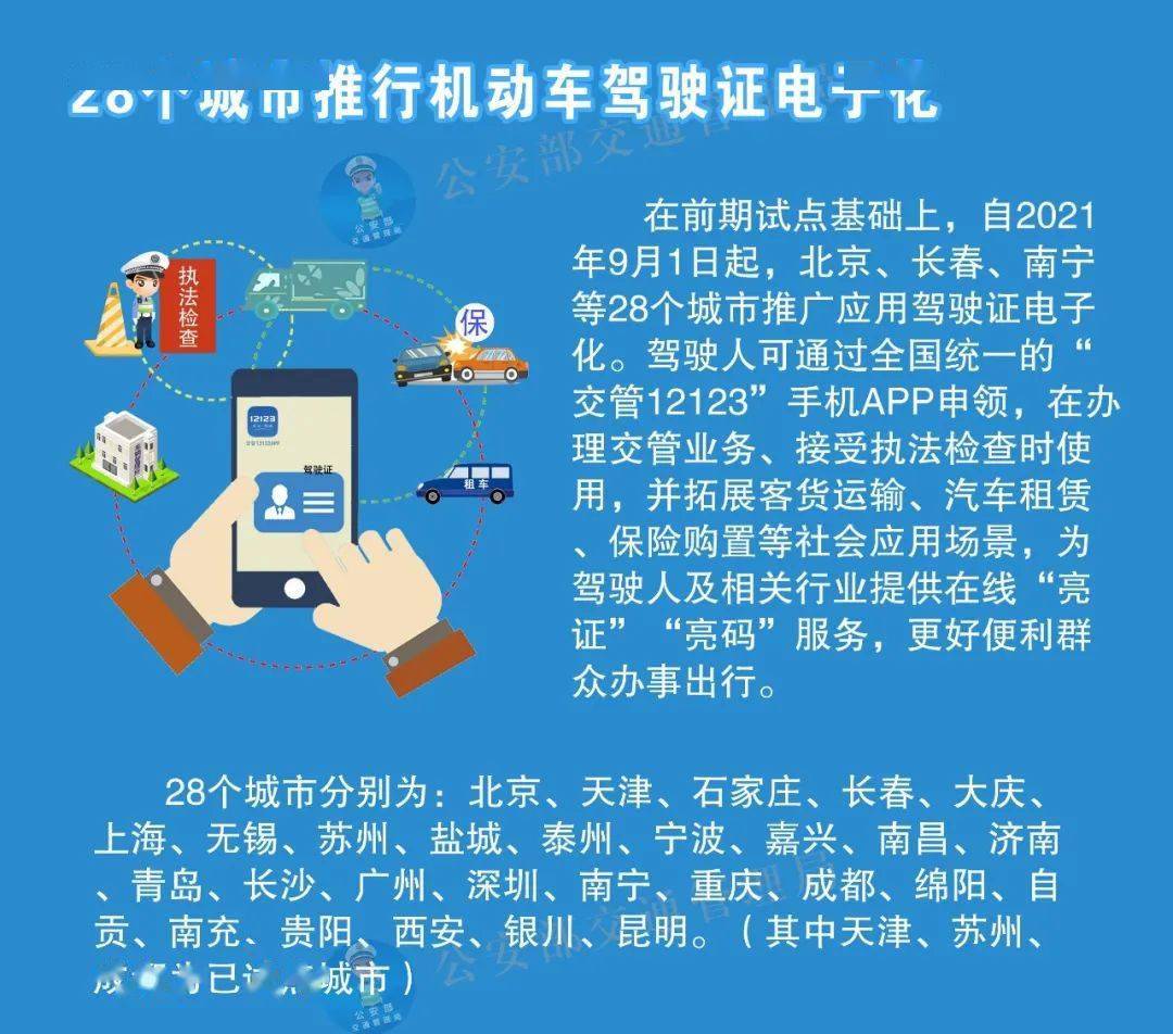 迈向2025，正版资料全年免费公开，丰盈释义的落实之旅