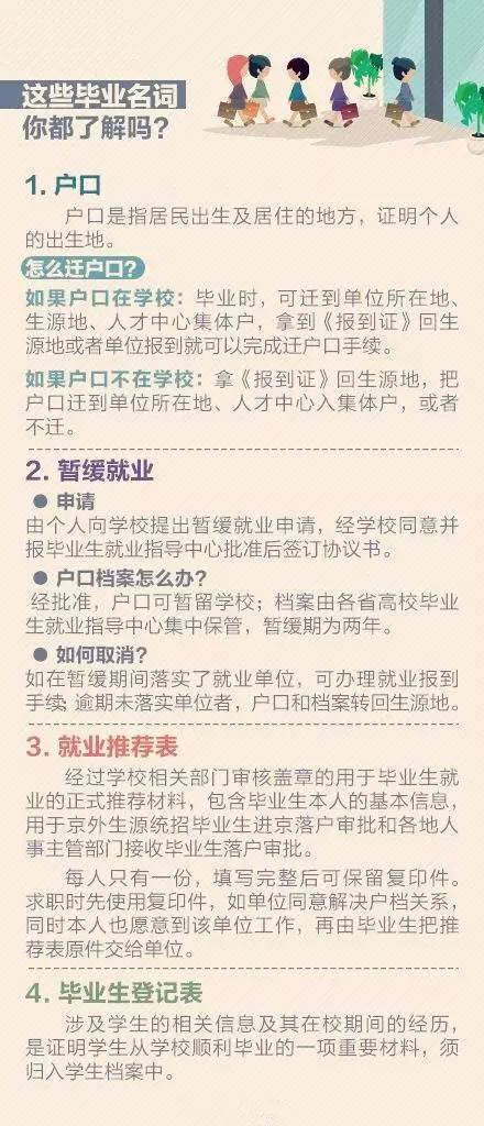 澳门精准资料与励精释义，落实与实践的重要性