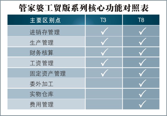 管家婆的资料一肖中特第176期，工作释义解释落实深度洞察