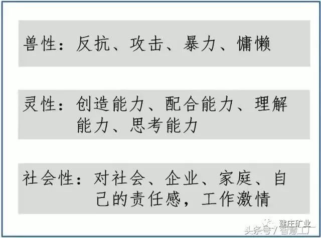 今晚澳门特马开什么今晚四不像——竞争释义解释落实