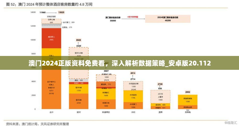 探索未来澳门原料市场，免费资源大全与快速释义解释落实策略