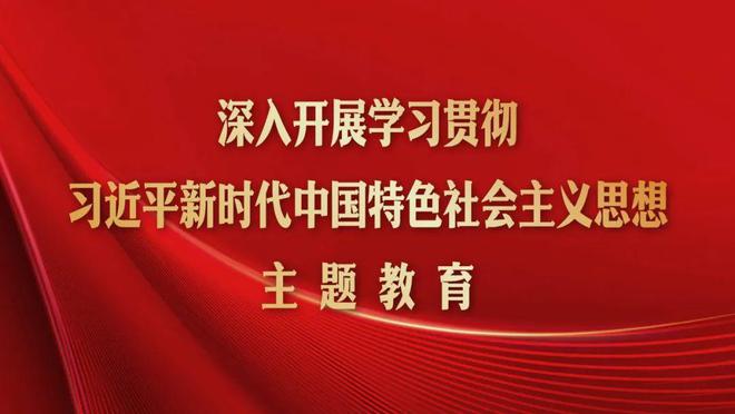 新澳门中特期期精准与标杆释义，深入解读与落实策略