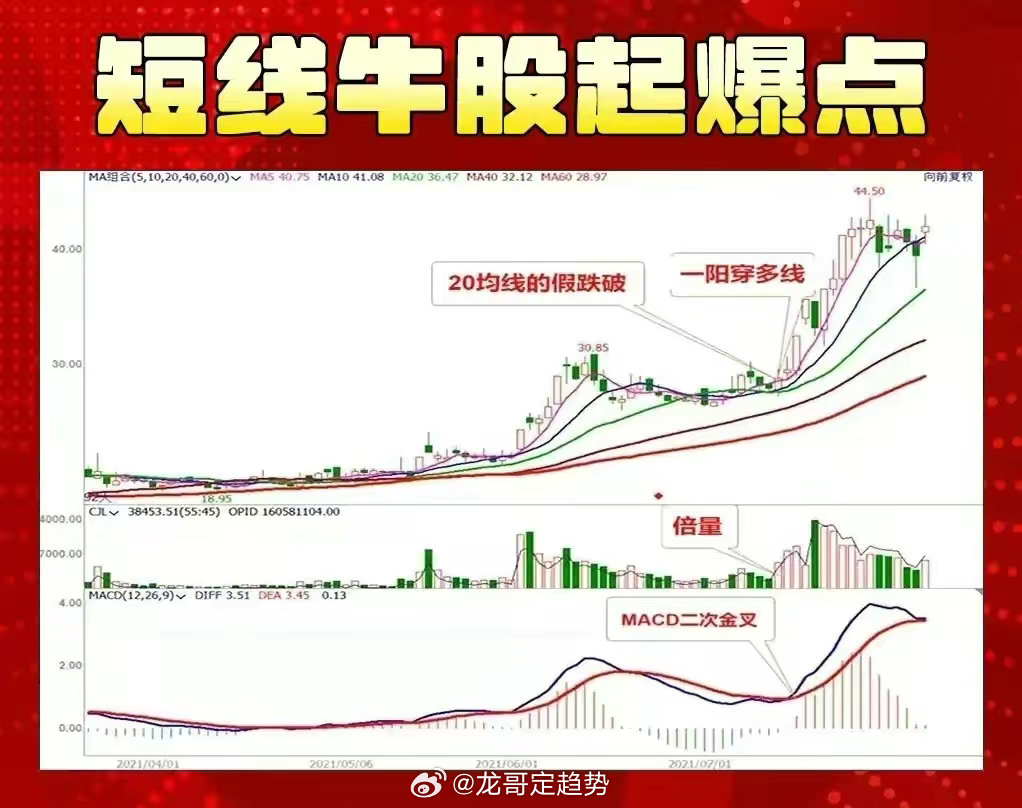 精准跑狗图，线自释义与落实策略