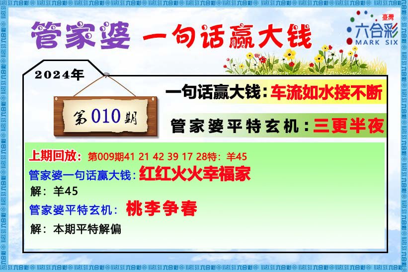 管家婆204年資料一肖，精选释义解释与落实策略