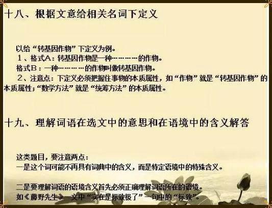 四不像正版资料与接洽释义，深化理解与有效落实的策略探讨