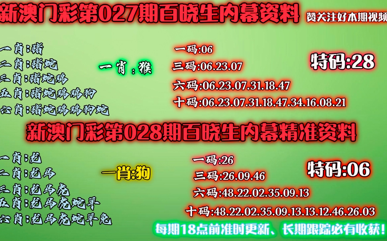 澳门精准一肖一码，释义解释与落实之道