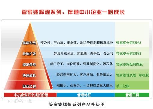 探索精准管家婆，潜力、释义与落实策略