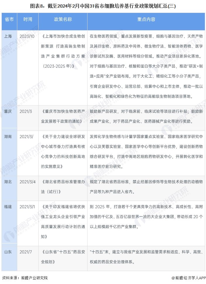 探索与解读，2025新澳正版免费资料大全的释义与落实