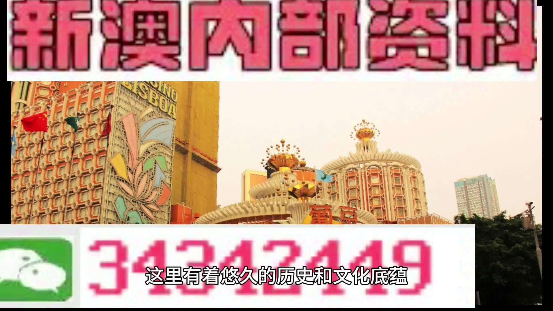 新澳门2025年资料大全宫家婆，多样释义与实施的蓝图