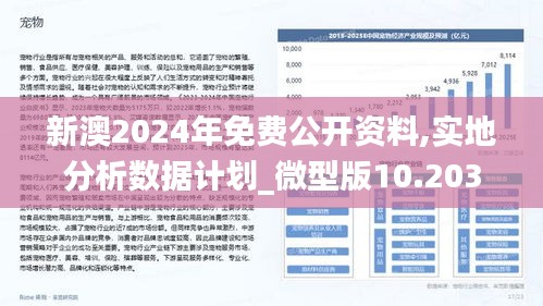 新澳兔费资料琴棋的交互释义与落实策略