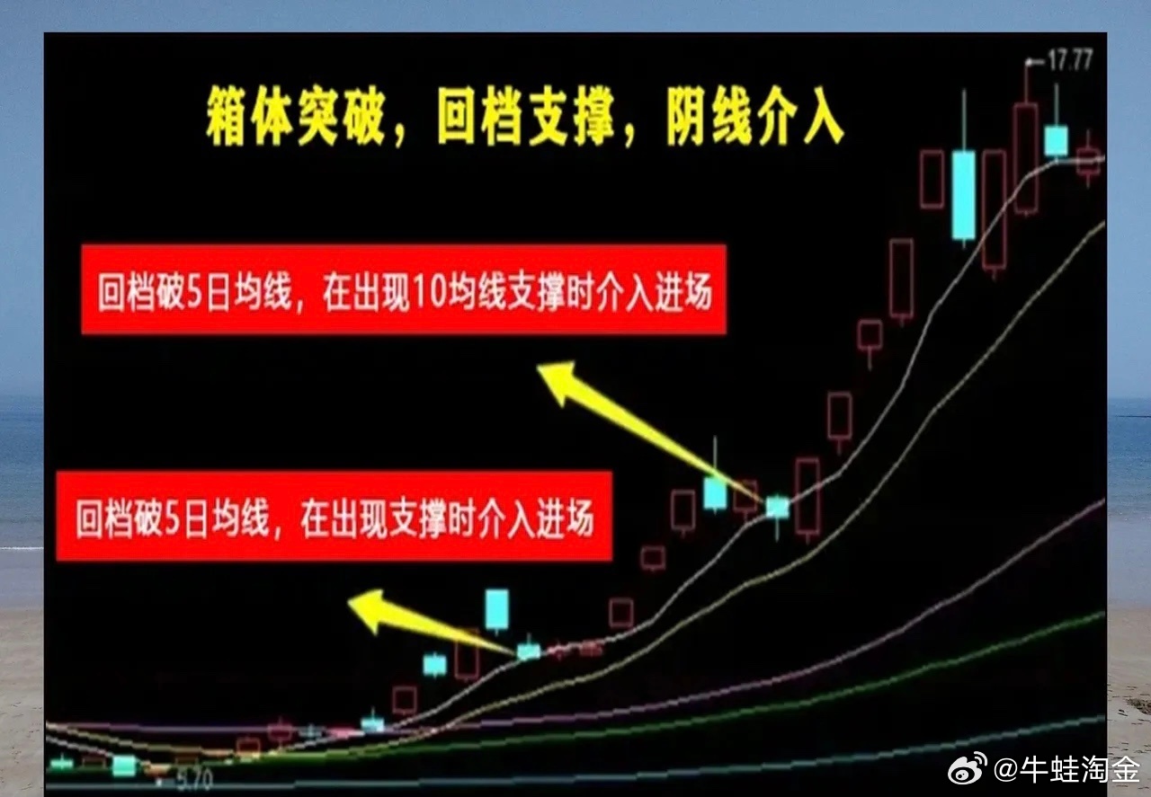 解析一肖一码一中一特，未来趋势与实现路径的探讨