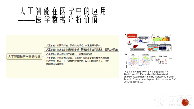 探索与理解，关于2924新奥正版免费资料大全的全面解读与实施