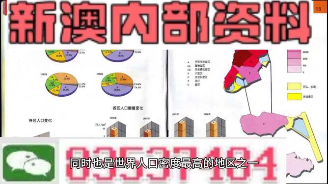 新澳门资料大全正版资料2025年，释义解释与落实行动