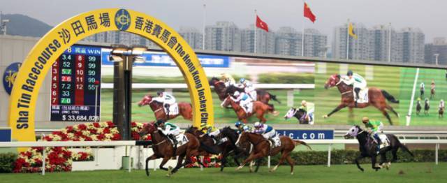 关于香港特马活动的探讨与释义解释落实