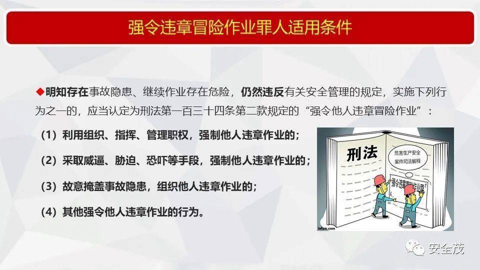 关于新奥精准资料的免费提供与跟踪释义解释落实的研究