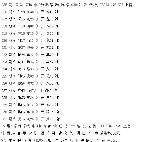 一码一肖一特一中，释义解释与落实行动指南（XXXX年视角）