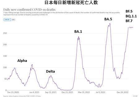 探索未来，解析澳门彩票新策略与程序释义落实的重要性