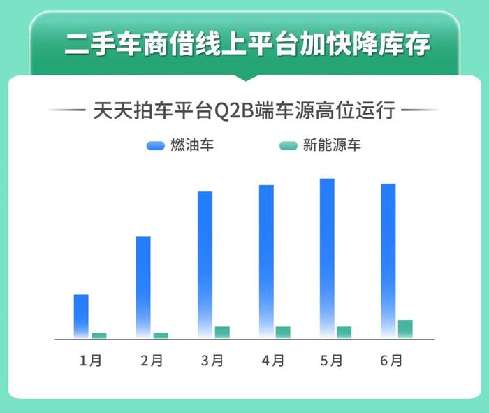 新澳天天开奖资料大全最新解读与落实策略