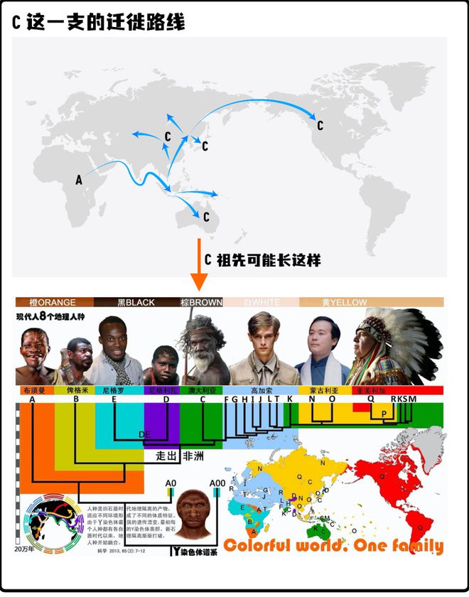 澳门六今晚开奖结果，纯粹释义解释与落实的观察报告