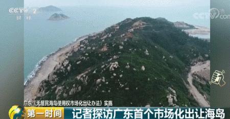 澳门挂牌正版挂牌全篇必备攻略及地区释义解释落实详解