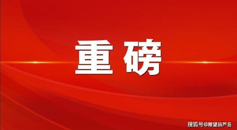 警惕新澳门精准四肖期中特公开，严格释义解释与落实的重要性