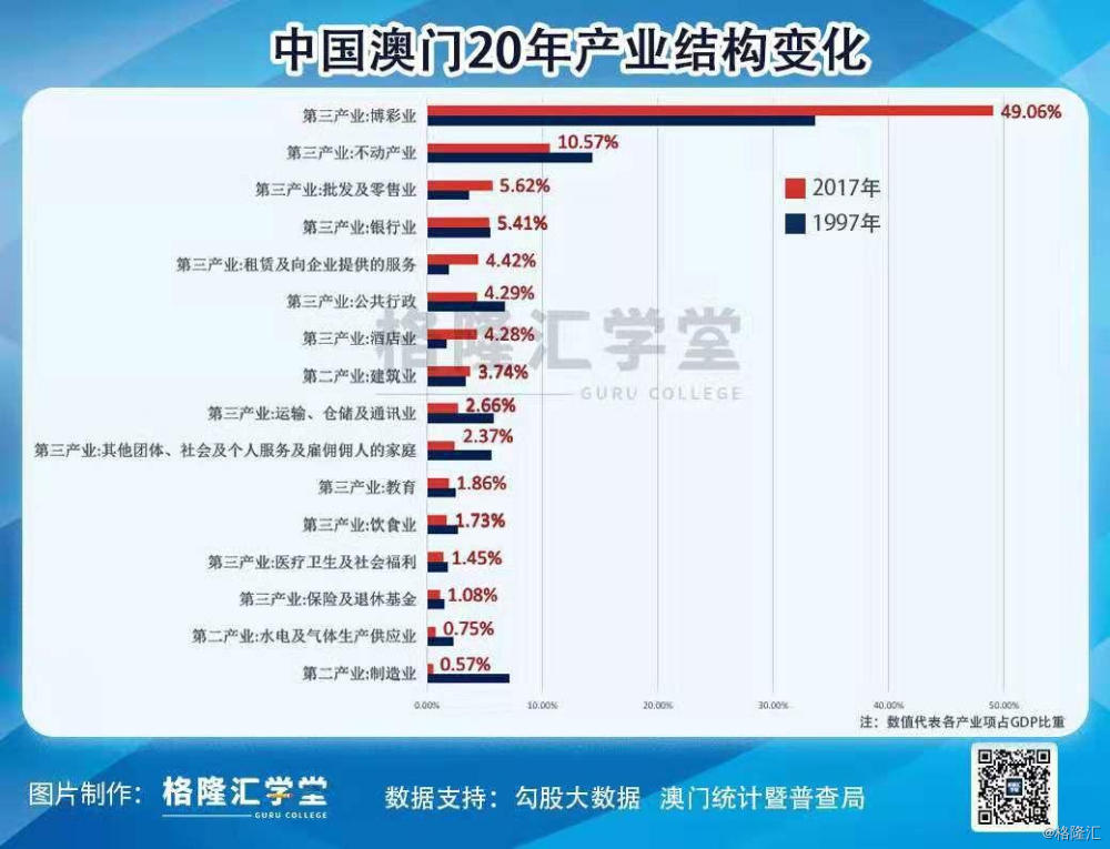 澳门335期资料查看，重磅释义与深入落实的探讨