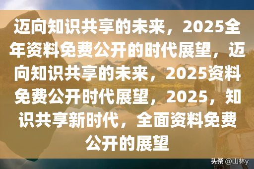 迈向2025，正版资料免费公开及其落实策略