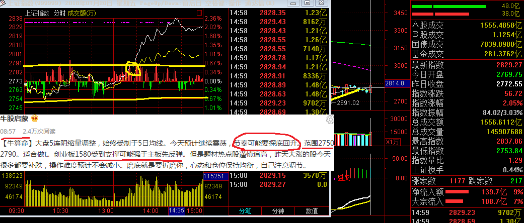 管家婆必中一肖一鸣——解读命运之轮中的神秘力量