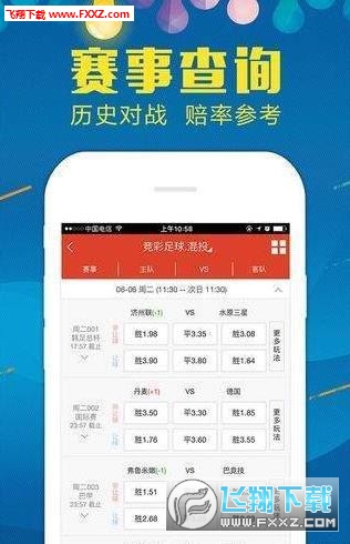 澳门精准王中王三肖三码2021特色与特技释义解释落实研究