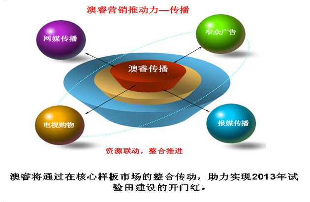 解读澳家婆一肖一特策略与力策释义的落实之路