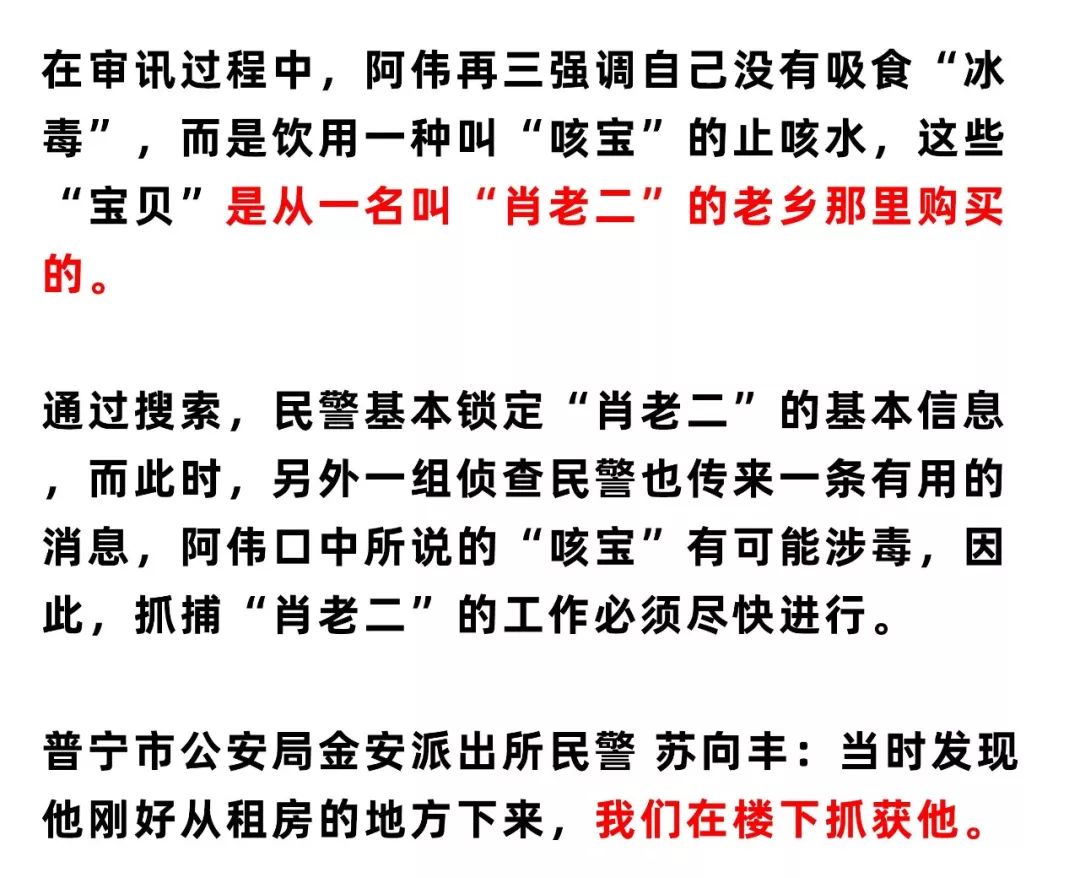 最准一码一肖，揭秘背后的奥秘与追踪释义解释落实的重要性