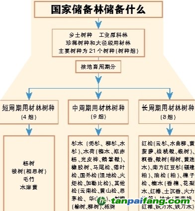 探索未来，精准解读新澳资料与储备释义的落实策略