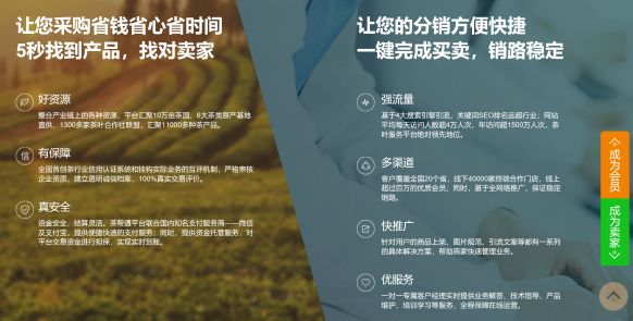 探索未来，2025年新澳精准正版资料的免费共享与架构释义的落实