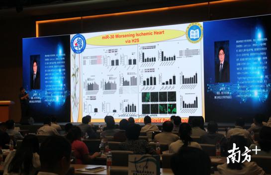 澳门一肖中100%期期准揭秘，凝练释义、解释与落实