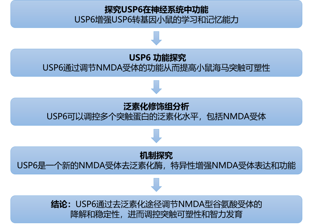 澳门内部正版免费资料软件的优势及其简便释义与落实策略